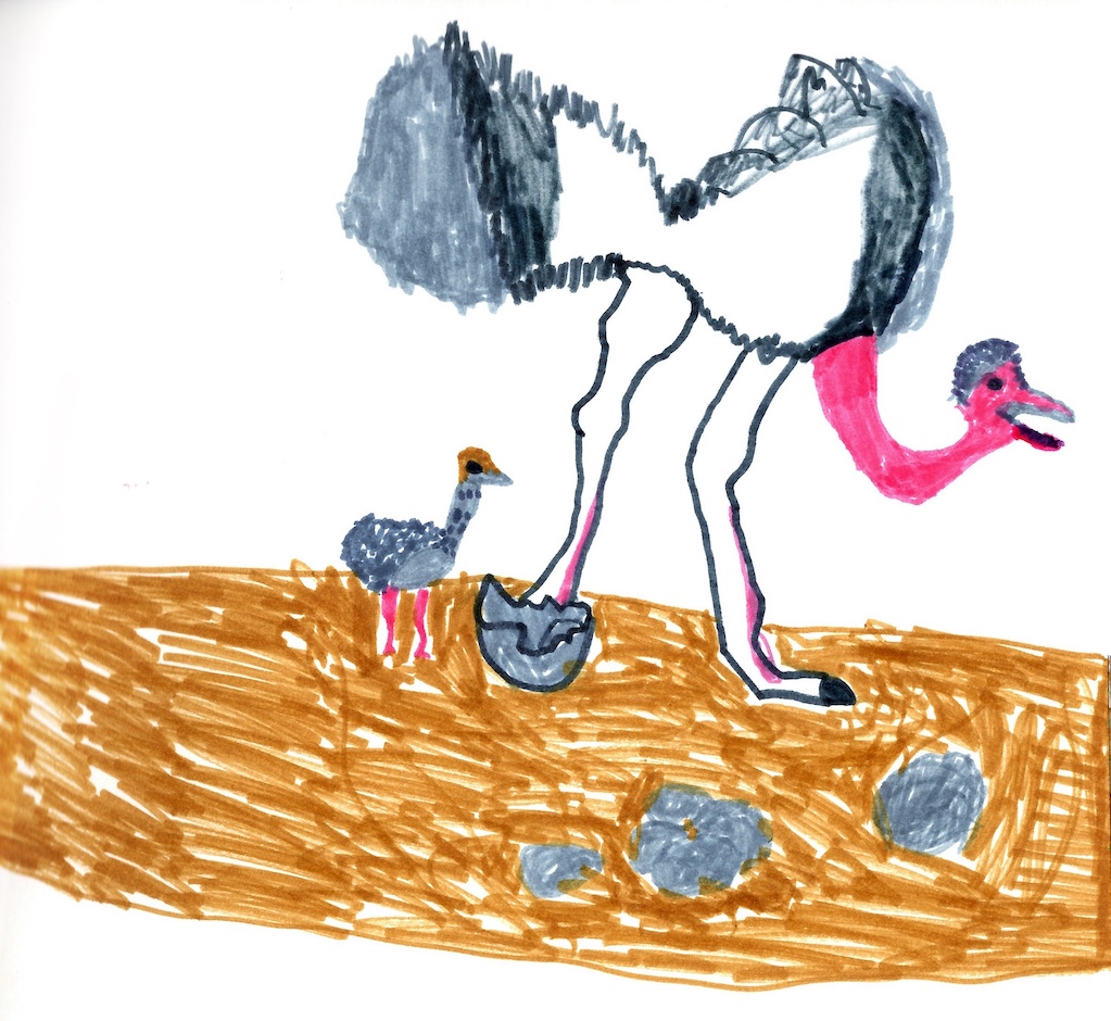 Artwork titled 'Ostrich' on 2015